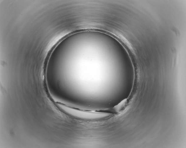 X0000090890885200708101400