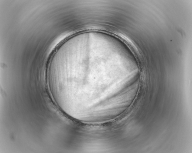 X0000090890886200708101400