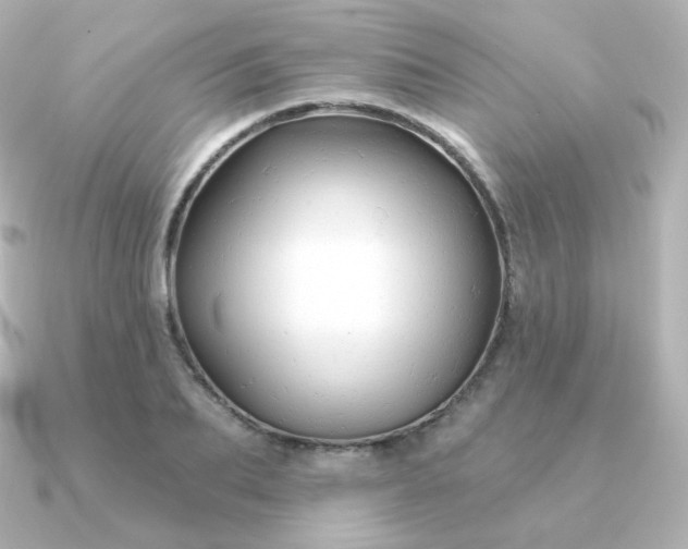 X0000090890887200708101400