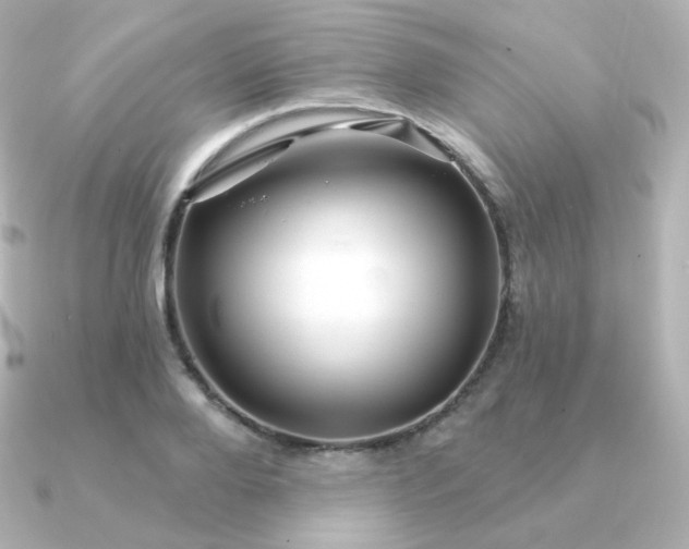 X0000090890888200708101400