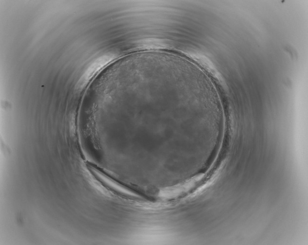 X0000090890889200708101400