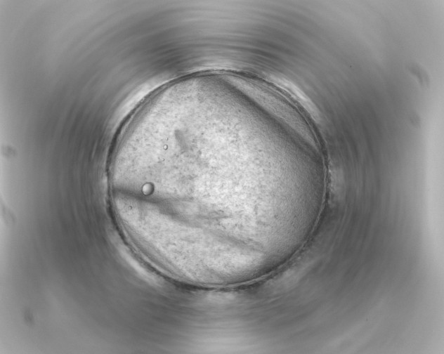 X0000090890890200708101400