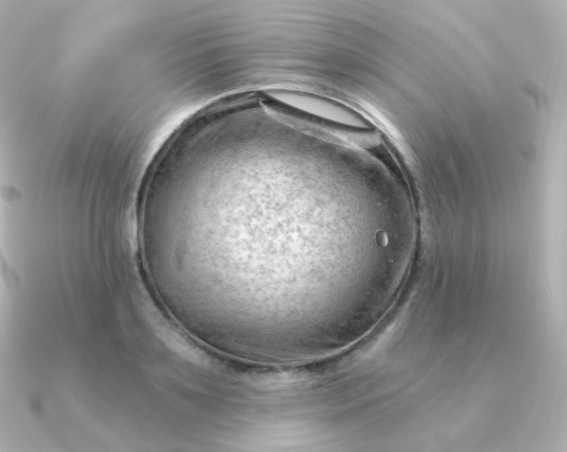 X0000090890891200708101400