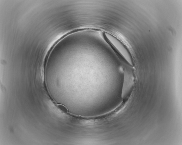 X0000090890892200708101400