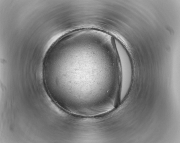 X0000090890894200708101400