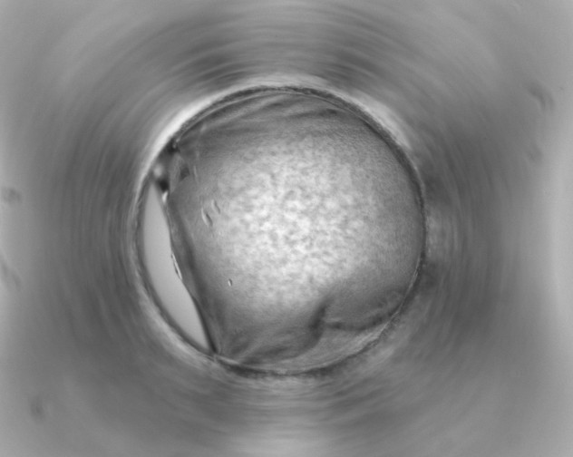 X0000090890895200708101400