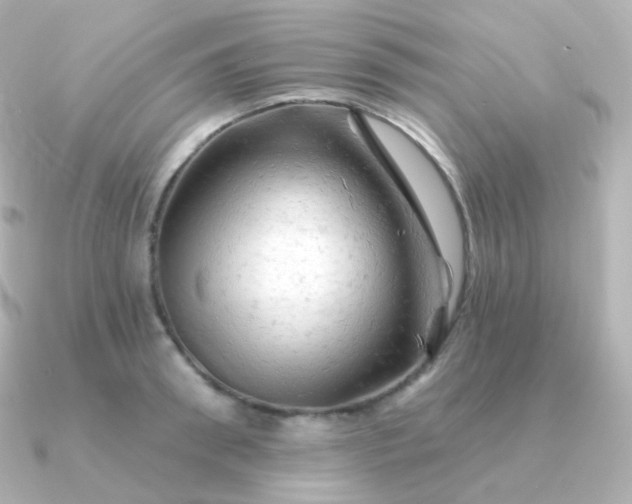 X0000090890898200708101400