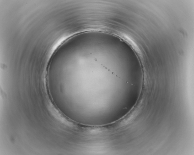 X0000090890899200708101400