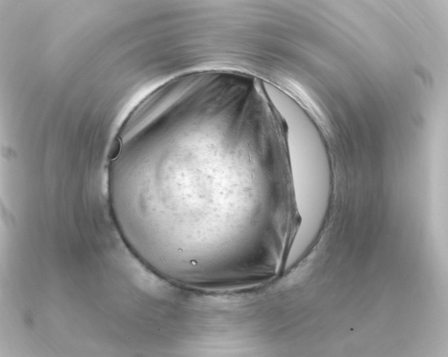 X0000090890900200708101400