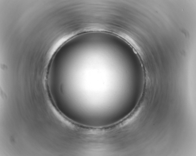 X0000090890901200708101400