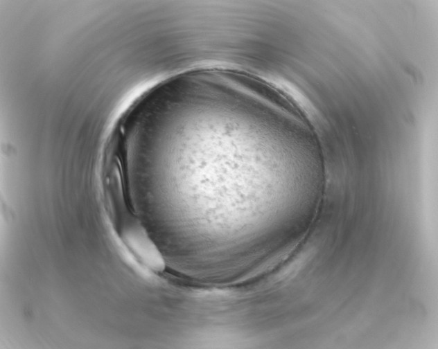 X0000090890902200708101400