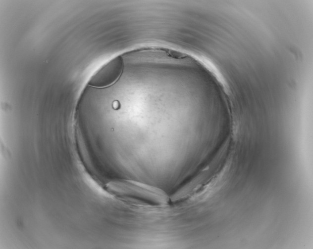 X0000090890903200708101400