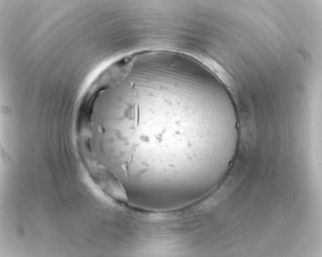 X0000090890904200708101400