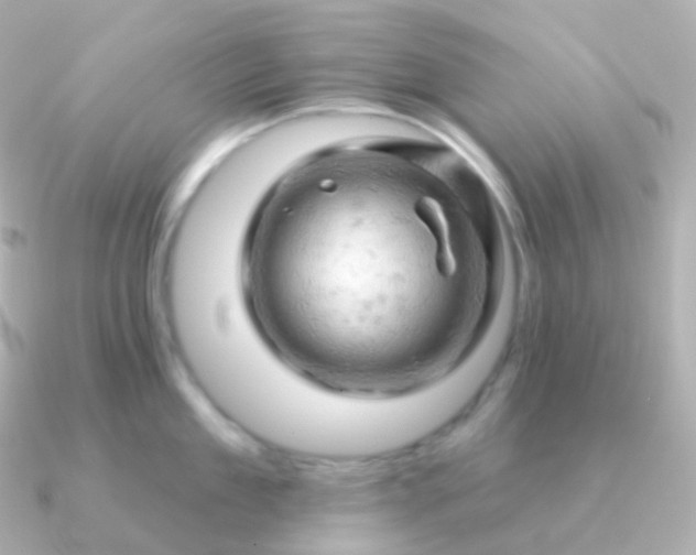 X0000090890909200708101400