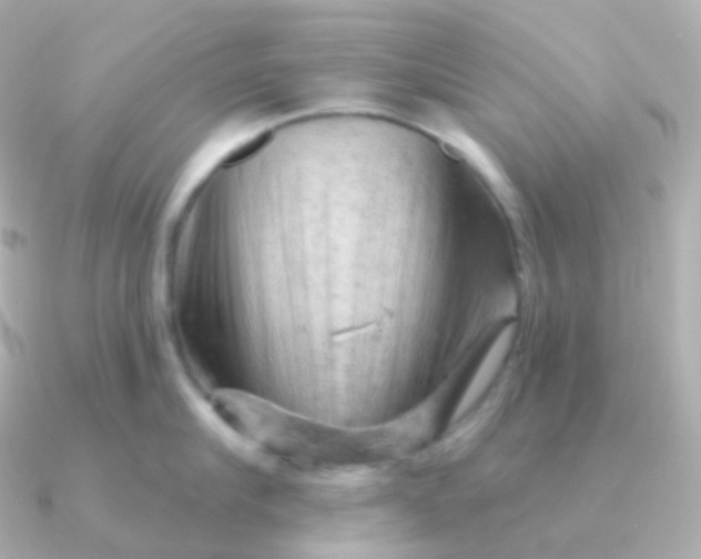 X0000090890910200708101400