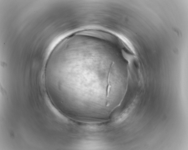 X0000090890911200708101400