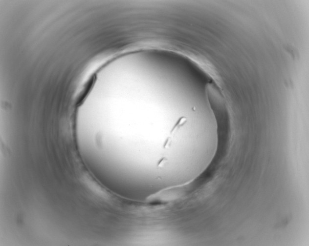 X0000090890912200708101400