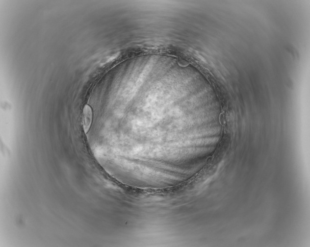 X0000090890913200708101359