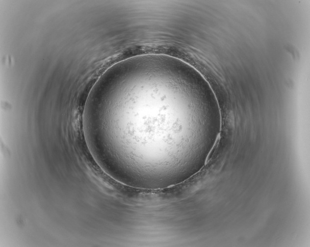 X0000090890914200708101359