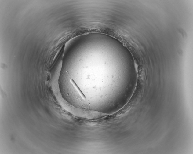 X0000090890916200708101359