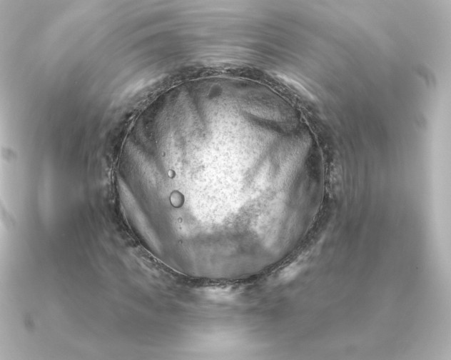 X0000090890917200708101359