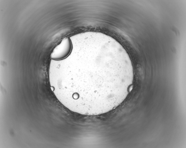 X0000090890918200708101359