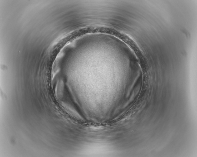 X0000090890919200708101359