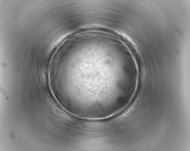 X0000090890921200708101359