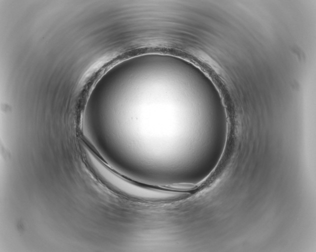 X0000090890922200708101359