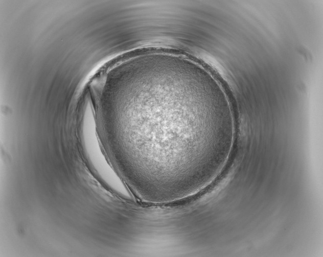 X0000090890923200708101400