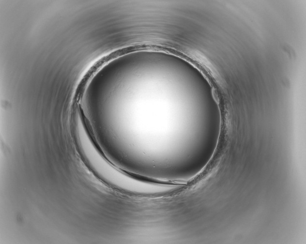 X0000090890924200708101400