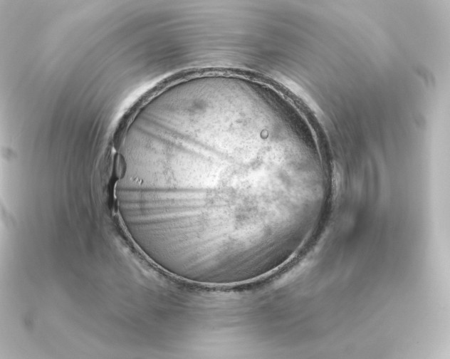 X0000090890925200708101400