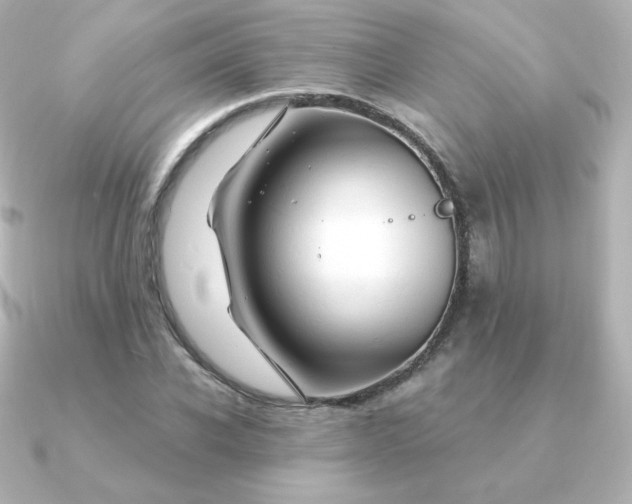 X0000090890926200708101400