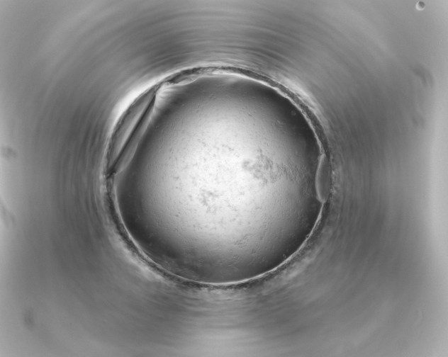 X0000090890928200708101400