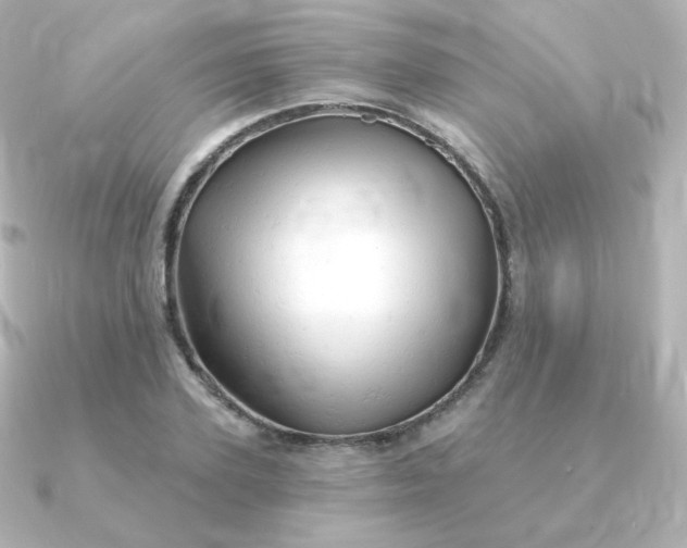 X0000090890931200708101400