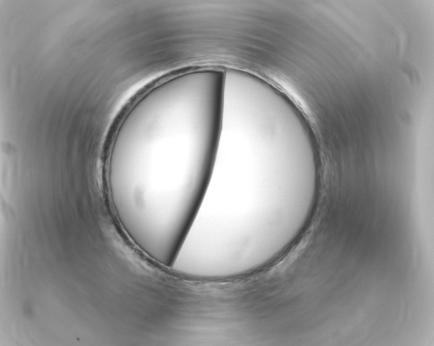 X0000090890932200708101400