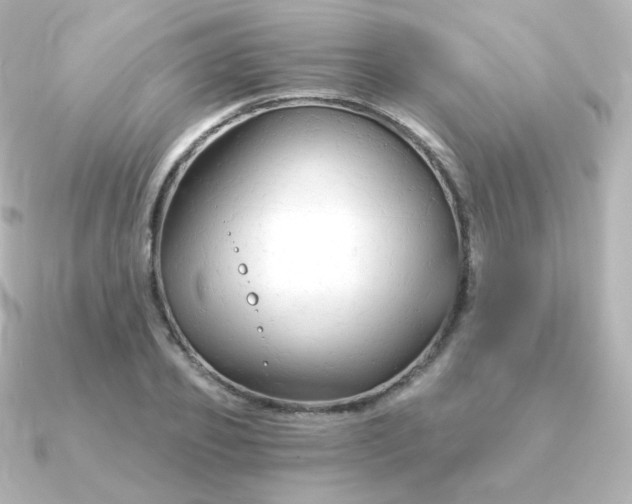 X0000090890933200708101400