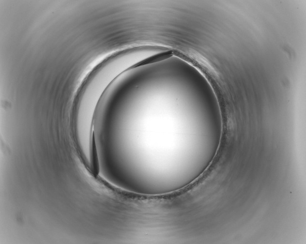 X0000090890934200708101400