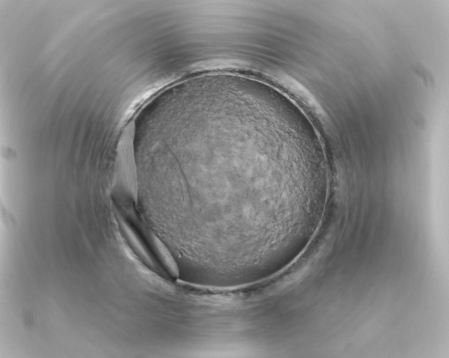 X0000090890937200708101400