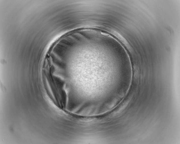 X0000090890939200708101400