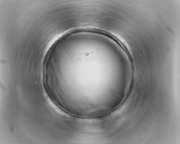 X0000090890941200708101400