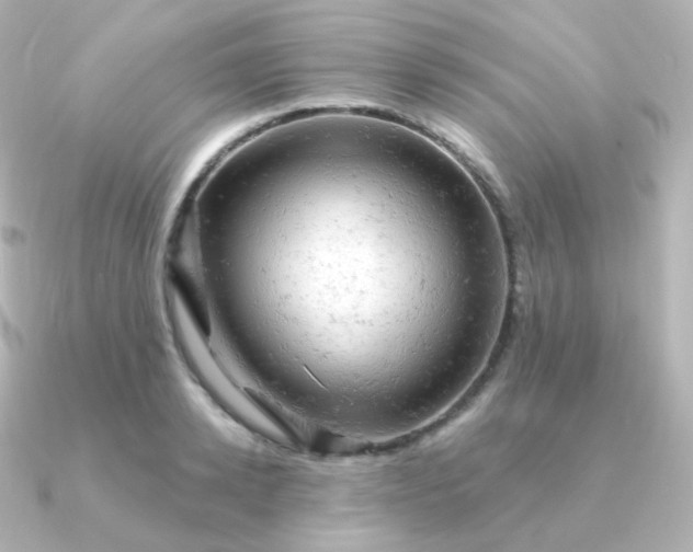 X0000090890942200708101400