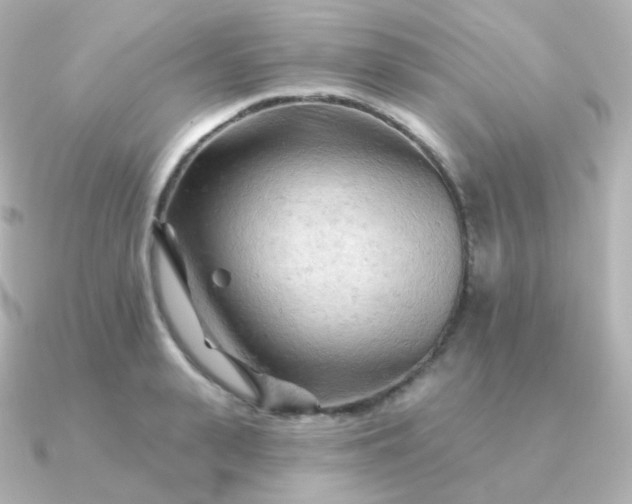 X0000090890943200708101400