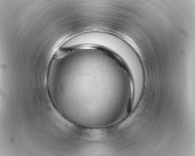 X0000090890946200708101400