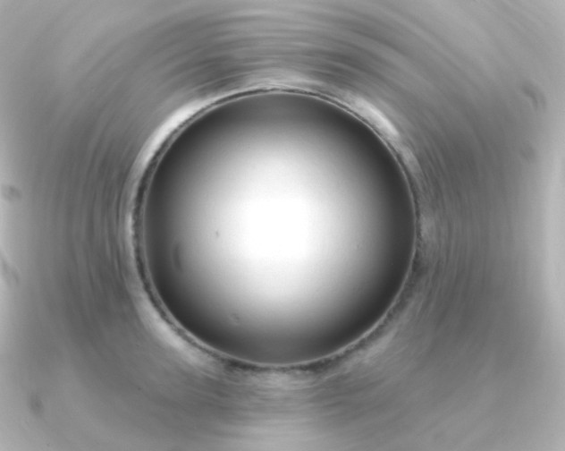 X0000090890947200708101400