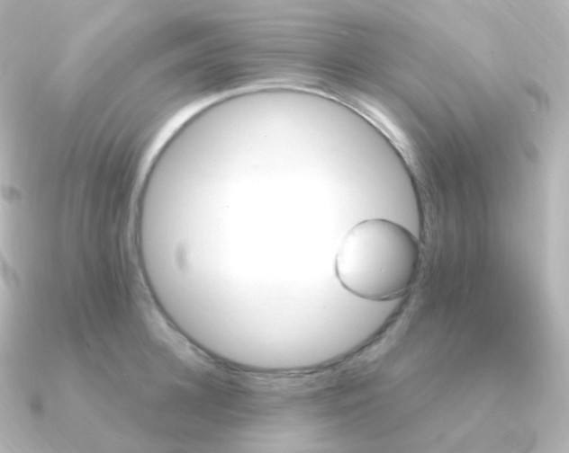 X0000090890948200708101400