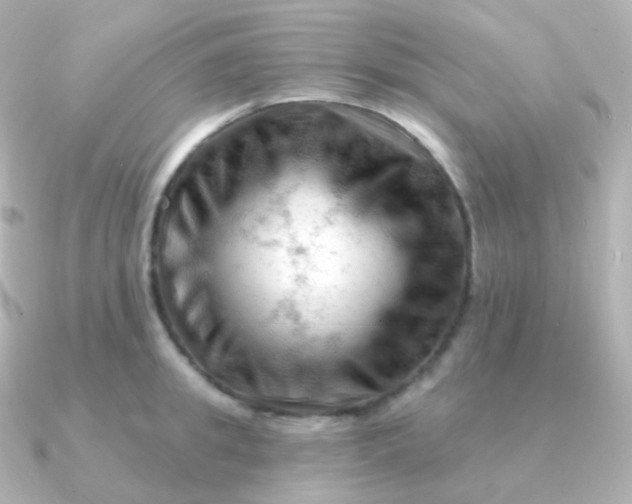 X0000090890949200708101400