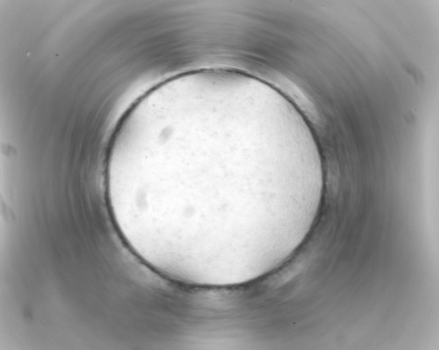 X0000090890950200708101400