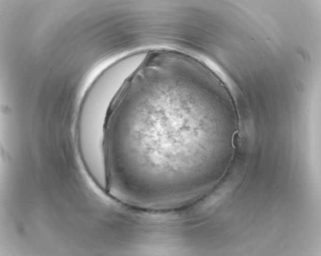 X0000090890951200708101400