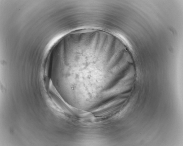 X0000090890952200708101400